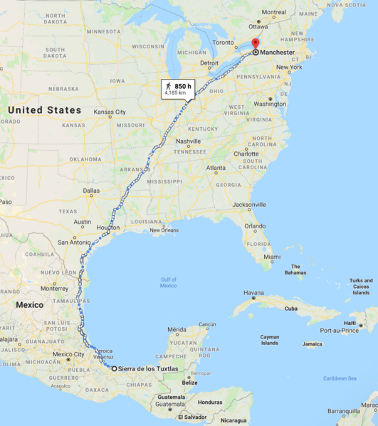 File:Screenshot 4.png