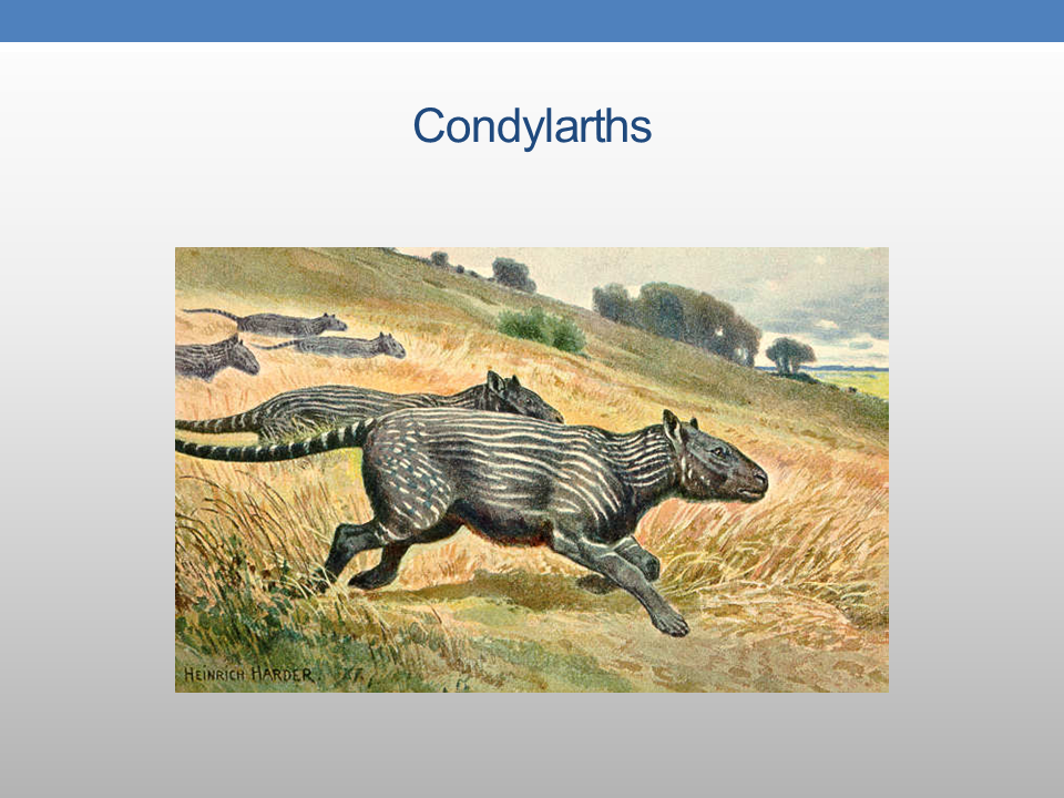 The Presence of PreColumbian Horses in America FAIR