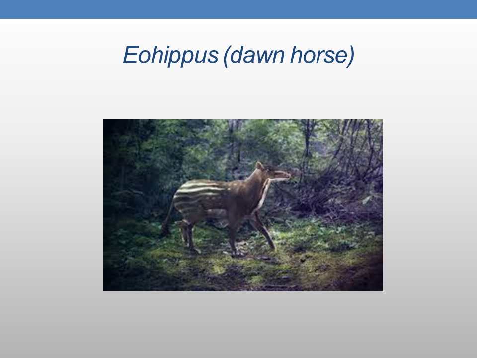 The Presence of PreColumbian Horses in America FAIR