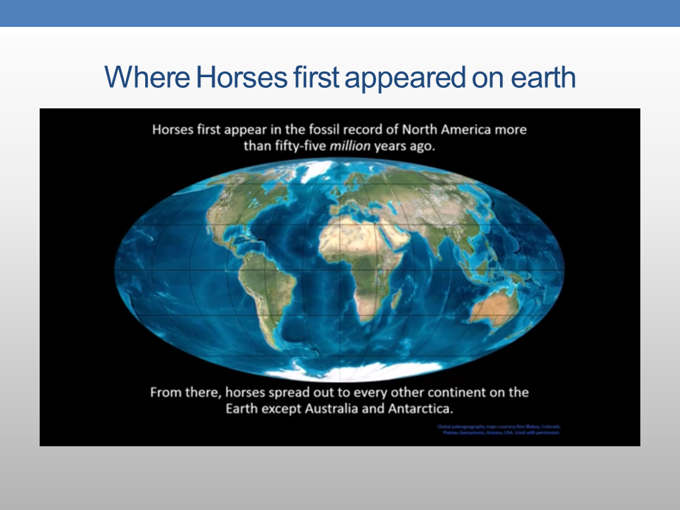 The Presence of PreColumbian Horses in America FAIR