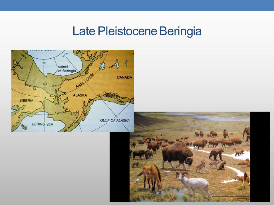 The Presence of PreColumbian Horses in America FAIR