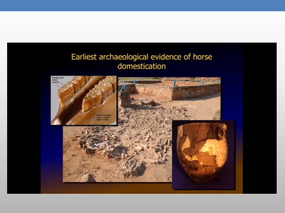 The Presence of PreColumbian Horses in America FAIR