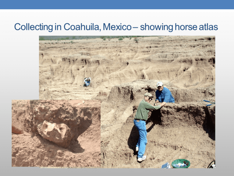 The Presence of PreColumbian Horses in America FAIR