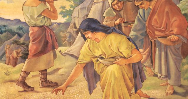 the children of Israel gathering manna in the wilderness