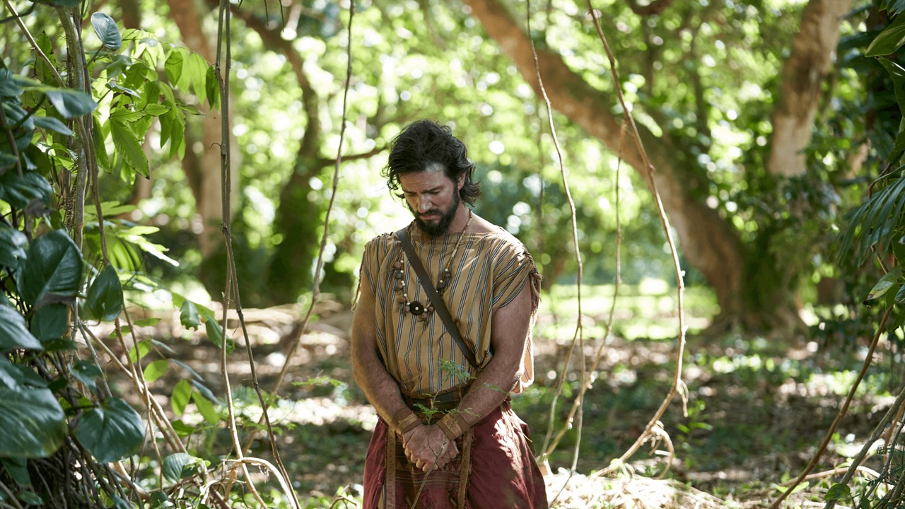 A person kneeling in a forest