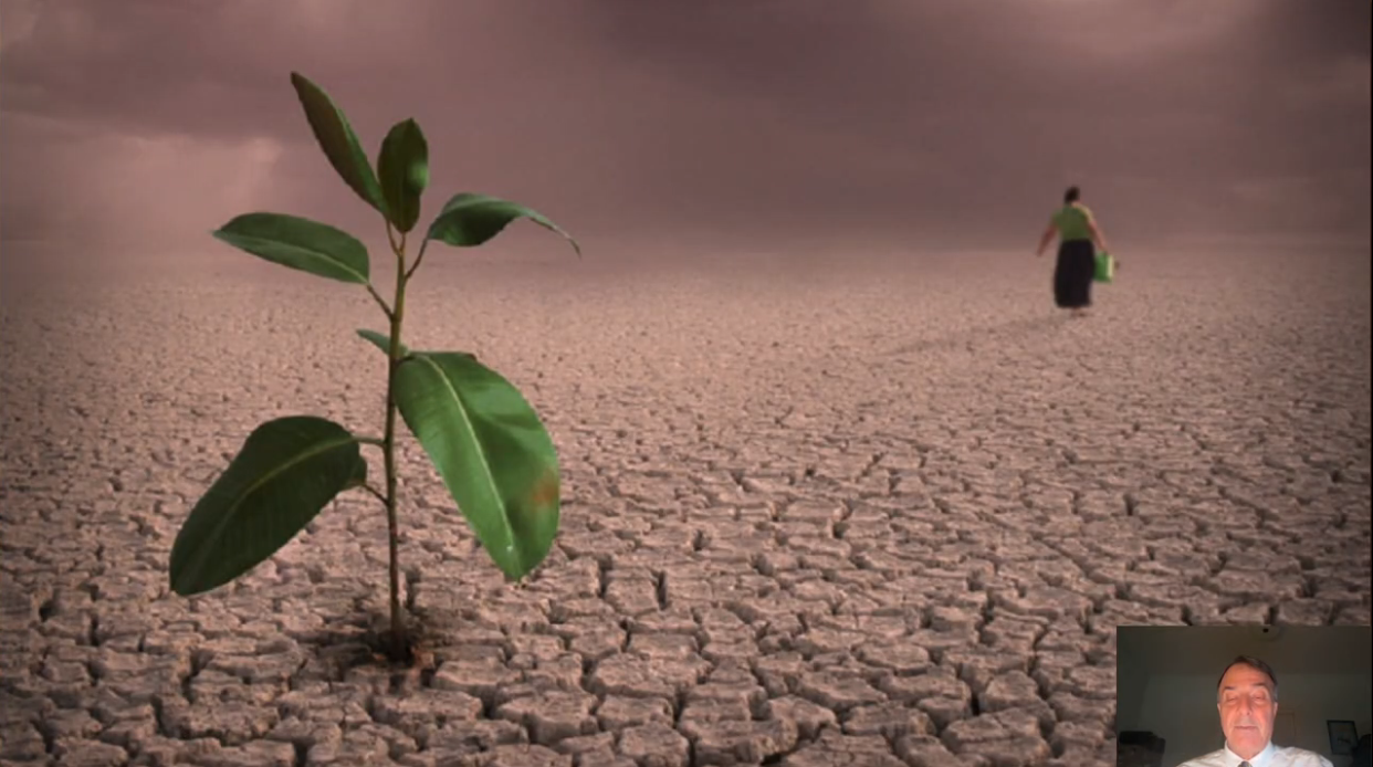 A green plant grows from cracked, dry ground beneath a dark sky, with a small figure walking in the distance.